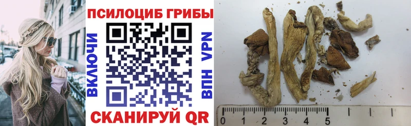 Псилоцибиновые грибы прущие грибы  omg зеркало  Александровск 